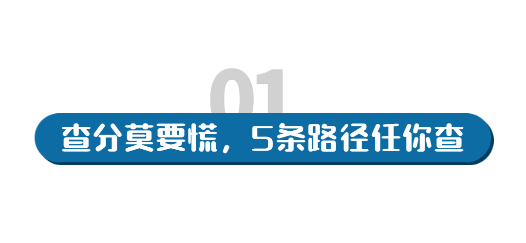 2022年成都中考成绩查询入口online.cdzk.org(图2)