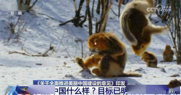 美丽中国什么样？怎么建？“三个阶段+七大重点领域”擘画美好未来 (图2)