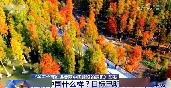 美丽中国什么样？怎么建？“三个阶段+七大重点领域”擘画美好未来 (图3)