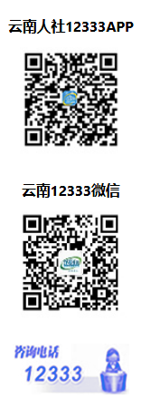 云南省专业技术人才管理服务信息平台hrss.yn.gov.cn/zjgl/qt/index/zlsy(图2)