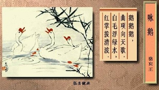 鹅，鹅，鹅，曲项向天歌。白毛浮绿水，红掌拨(图1)