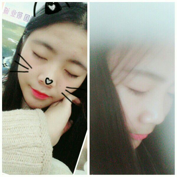 注以真情的银杏树之友情(图1)