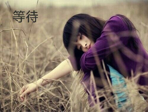 归来无人