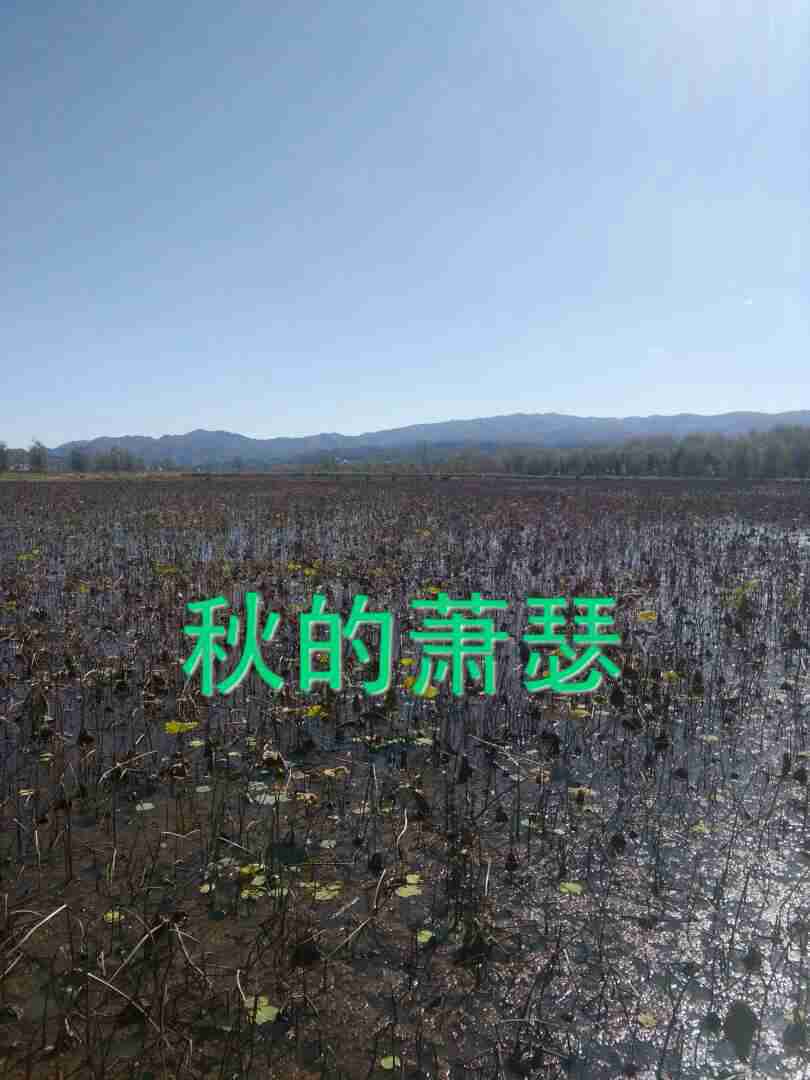 不变的你(图1) 不变的你(图1)
