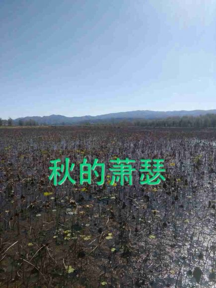 不变的你