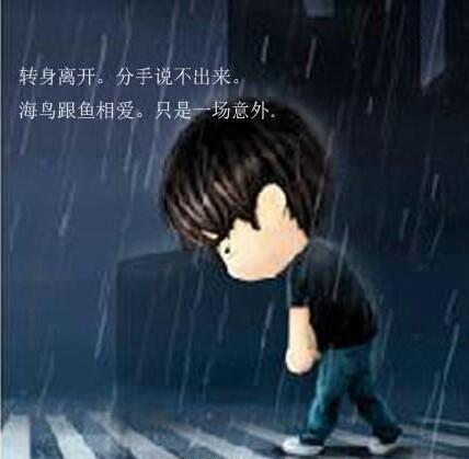 七秒记忆的鱼