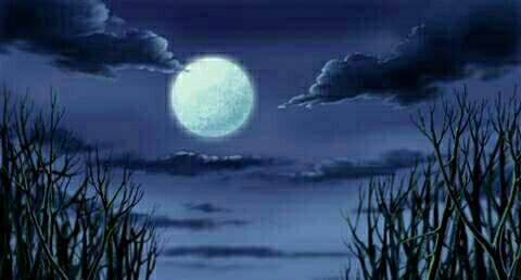 夜阑静、谁与共
