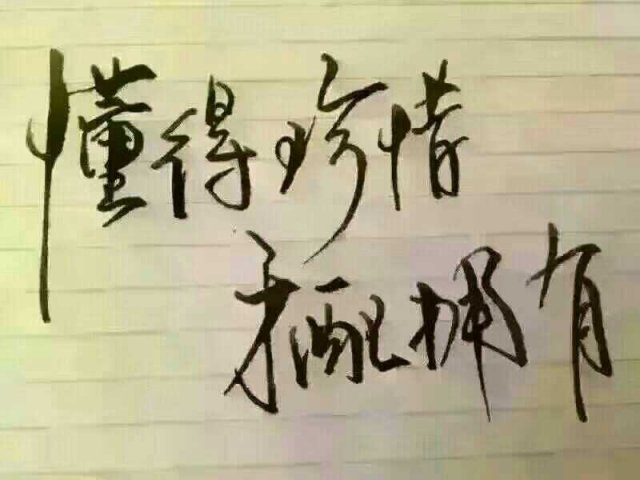 不是为了你