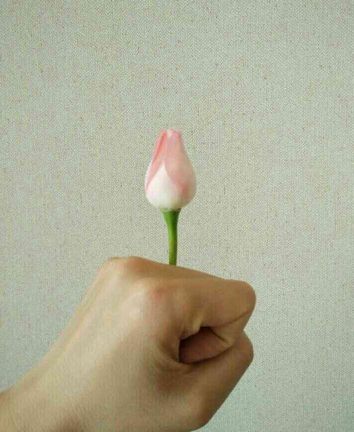 我困了(图1) 我困了(图1)