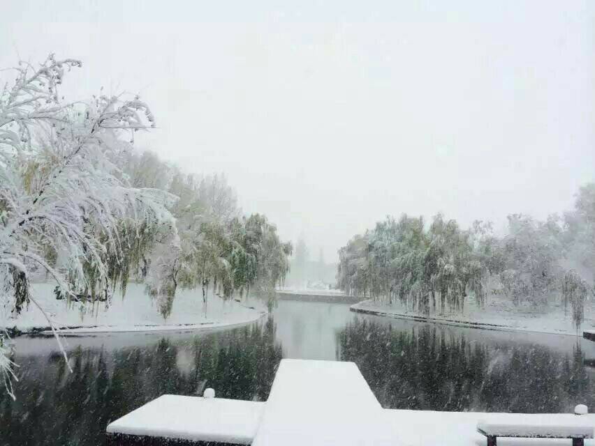 雪恋时节(图1) 雪恋时节(图1)