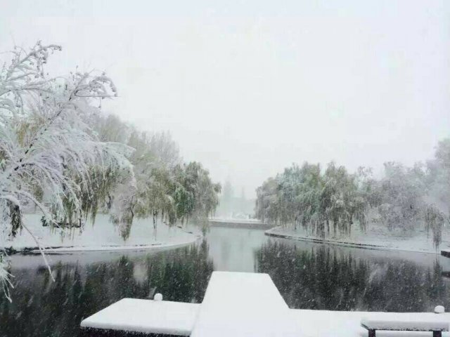 雪恋时节