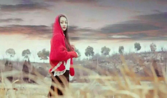 致心爱的姑娘