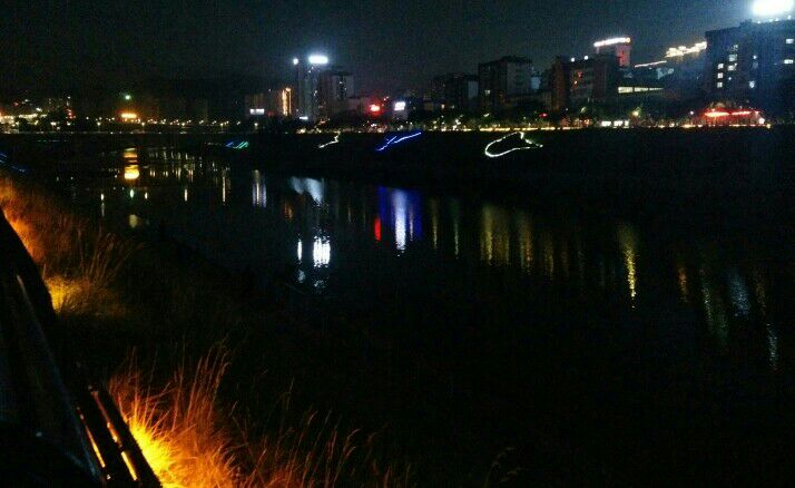 灯火(图1)