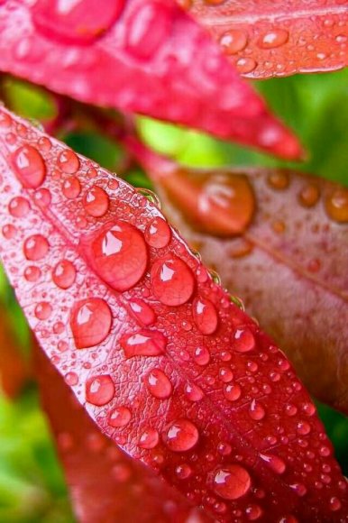 雨季之后