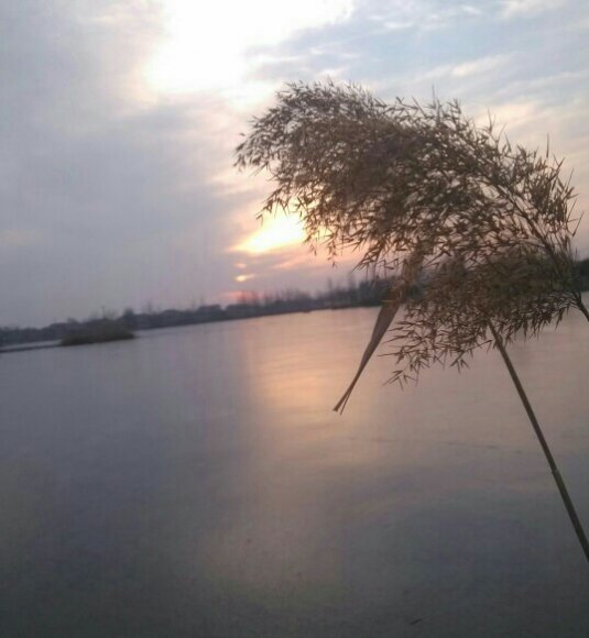 来不及了