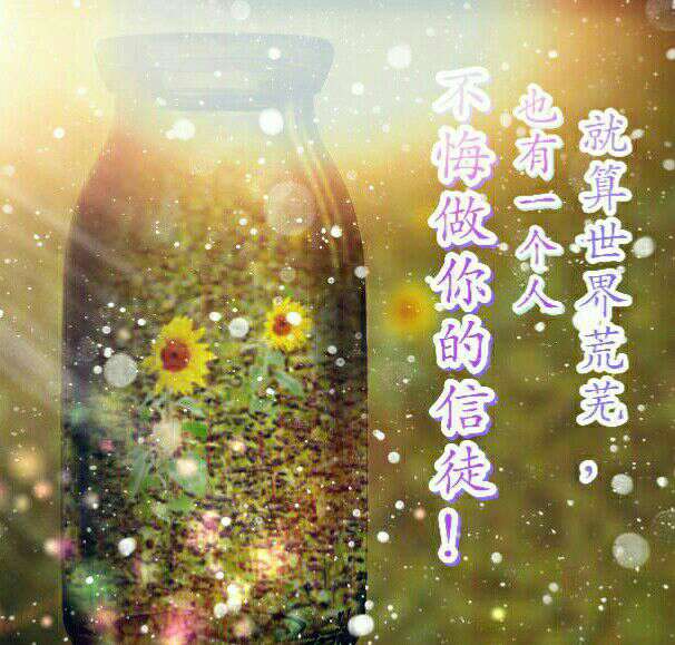 世界荒芜，也不悔做你的信徒