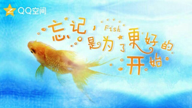风中那一抹芬芳