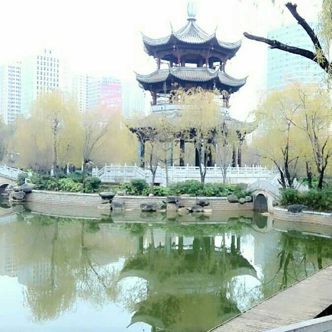 黄叶吟(图1) 黄叶吟(图1)
