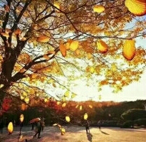 风诉(图1) 风诉(图1)