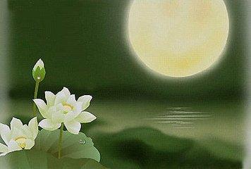 夜未央