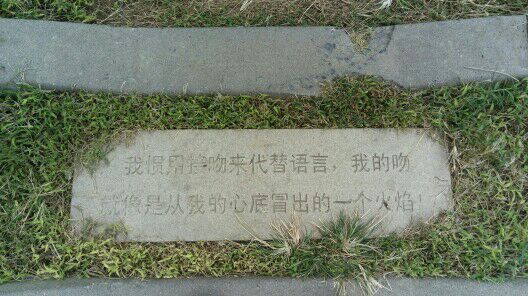感情