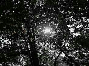 一线之间(图1)
