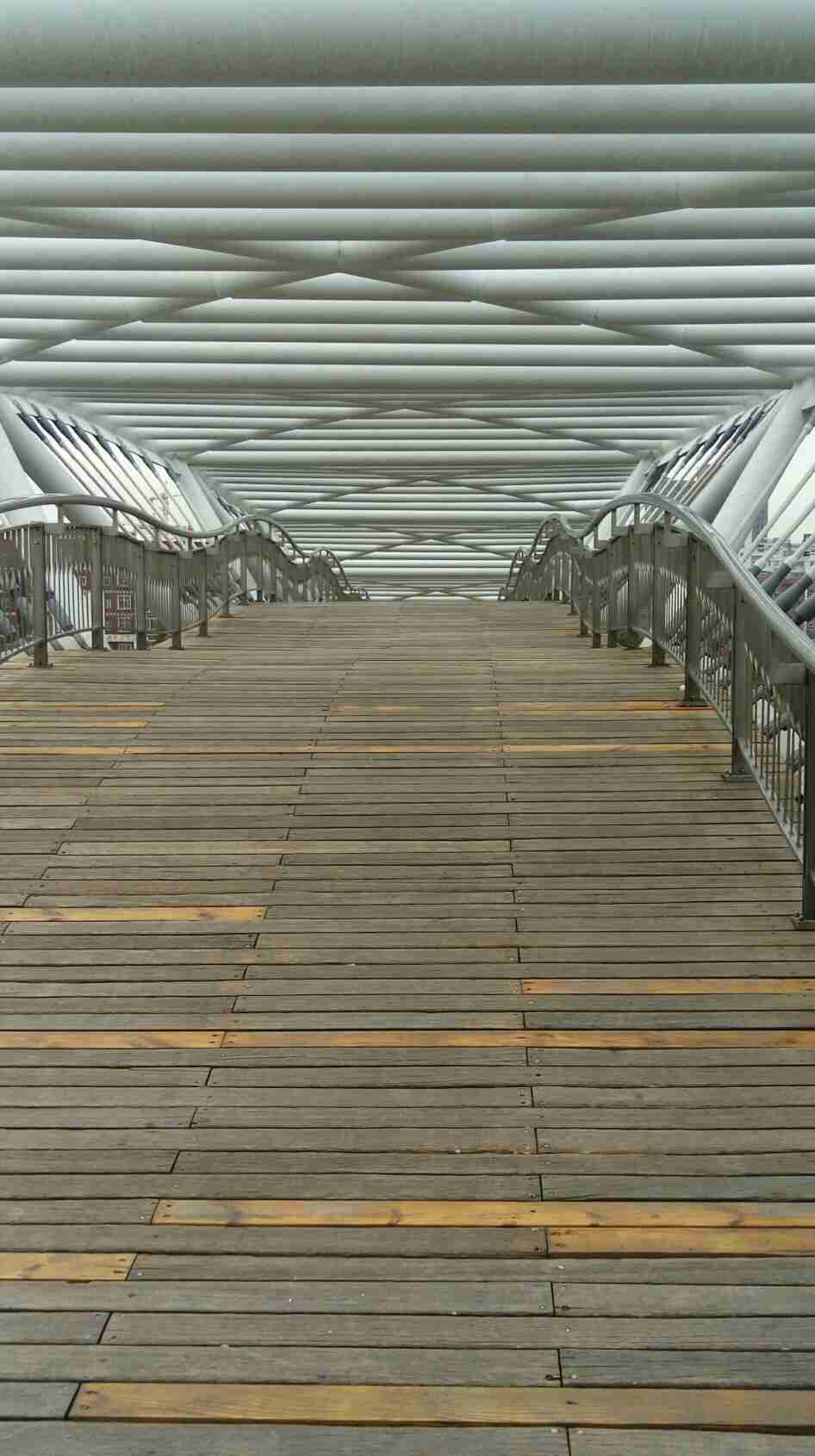 爱的承诺(图1) 爱的承诺(图1)