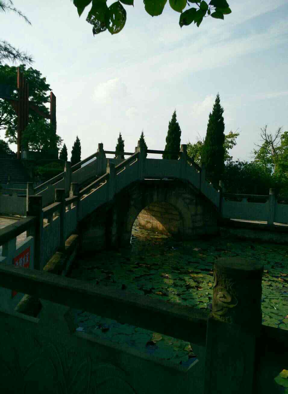 风凉(图1) 风凉(图1)