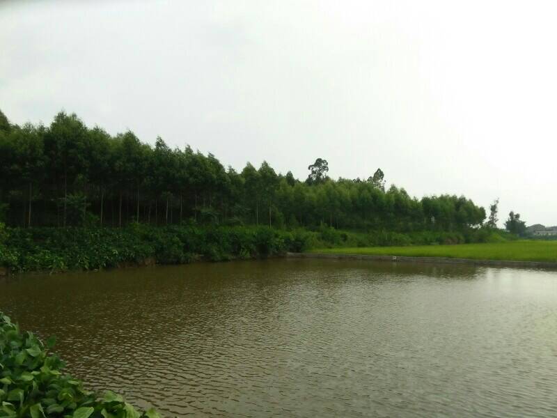 谁在等(图1) 谁在等(图1)