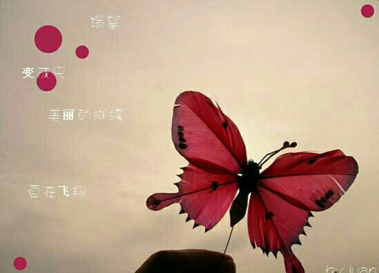 源于(图1) 源于(图1)
