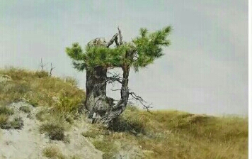 生命的逃离