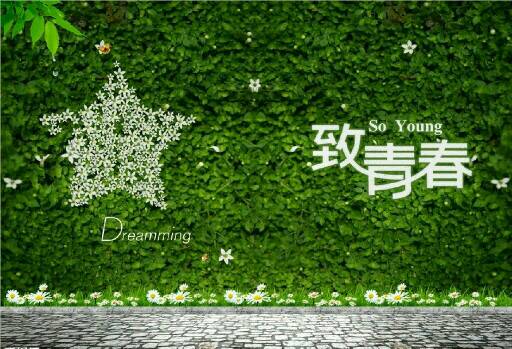 爱的青春(图1) 爱的青春(图1)