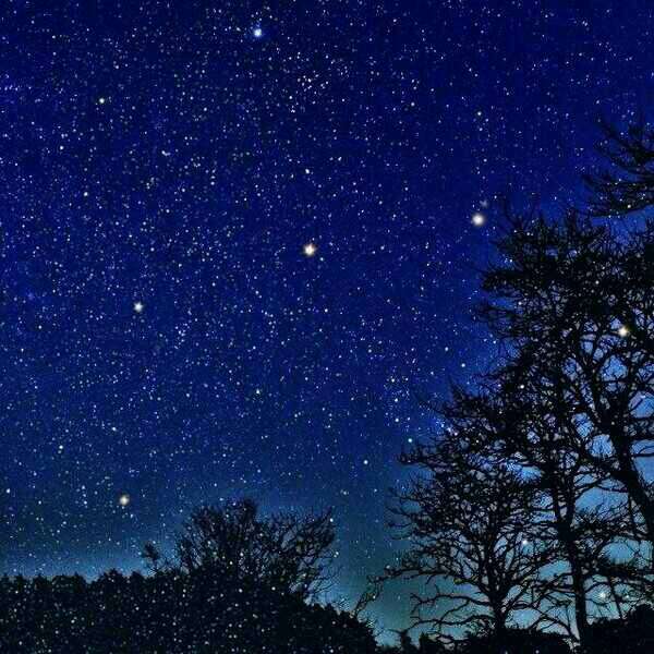 星星孩子(图1) 星星孩子(图1)