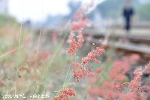 qq哲理短说说 期盼让心萌芽，现实让心坠