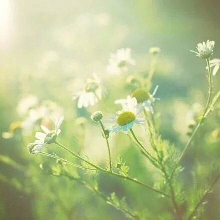 微信伤感说说心情短语 (图1)
