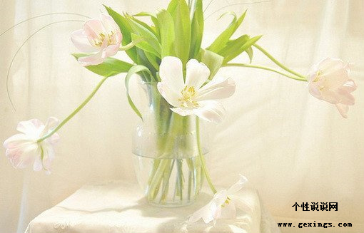 qq伤感心碎的心情短语 (图1)