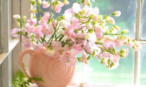 闲看花开，静待花落，冷暖自知，干净如始 (图1)