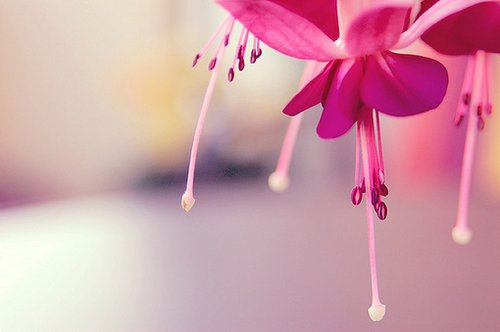 让人心痛的说说心情短语 笑只是个表情，与快乐(图1)