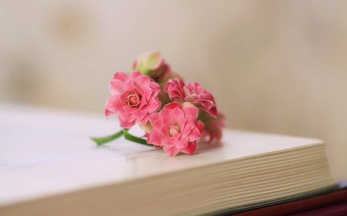 生活唯美的正能量语录短语 (图1)