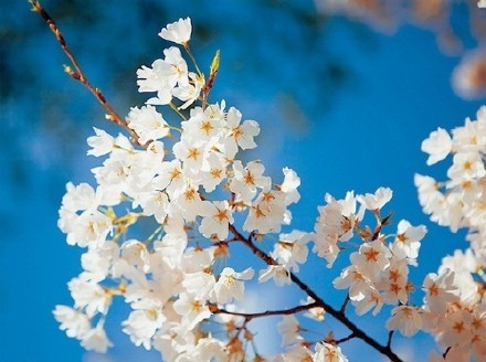 qq空间唯美的说说短语 (图1)