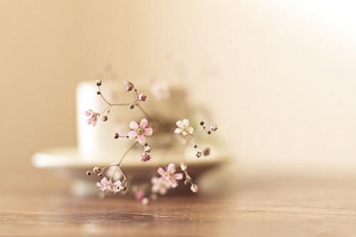 古风唯美的说说短语 (图1)