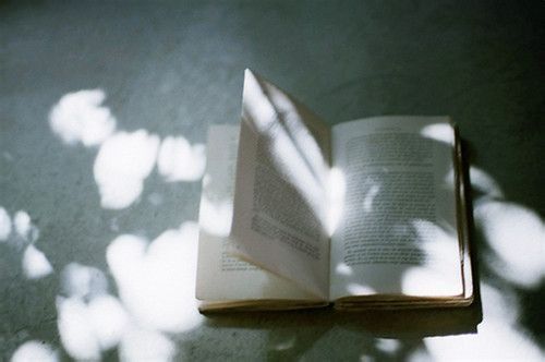 感悟人生句子 我的脾气赶走了很多人，但留下了(图2)
