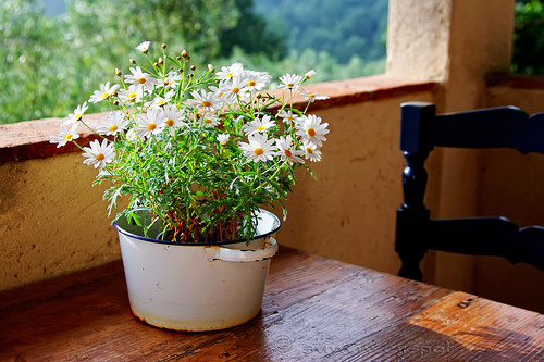 qq空间情人节留言短语 (图1)