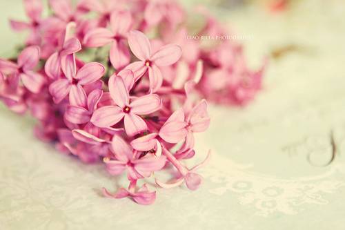 带图片的文字说说 (图3)