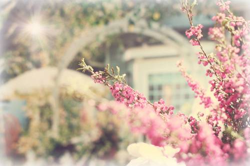 qq爱情文字 照顾每个人的感受,注定自己不会好(图1) qq爱情文字 照顾每个人的感受,注定自己不会好(图1)