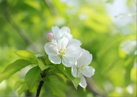 爱一旦说出了口，就变成了一种誓言，一种承