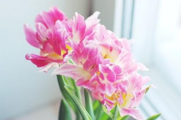 qq空间爱情说说 把心留给在乎你的人吧 (图1) qq空间爱情说说 把心留给在乎你的人吧 (图1)