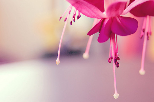 25条感人的爱情说说短语 