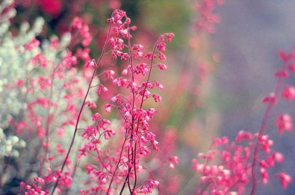 qq空间情感说说 被伤的多了 心的防御就变得坚硬(图1)