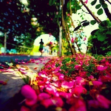 或许，一个人的孤单，只是一种生活 